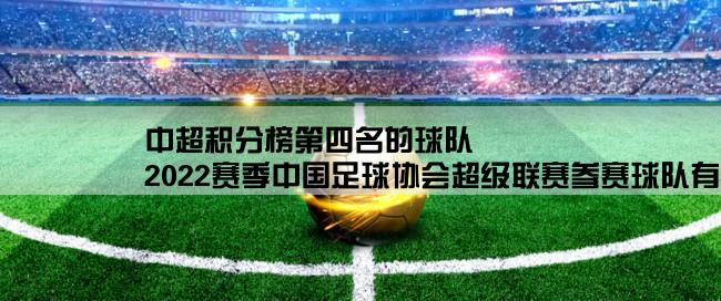 中超积分榜第四名的球队,2022赛季中国足球协会超级联赛参赛球队有哪些