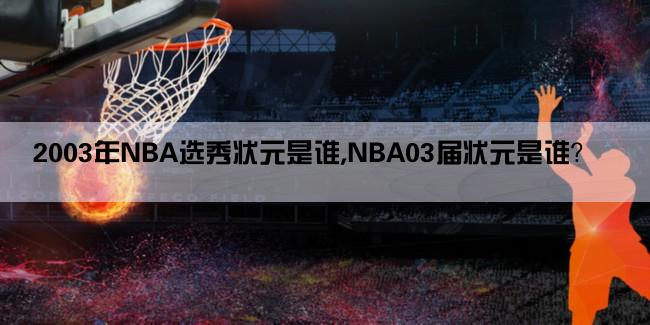 2003年NBA选秀状元是谁,NBA03届状元是谁？