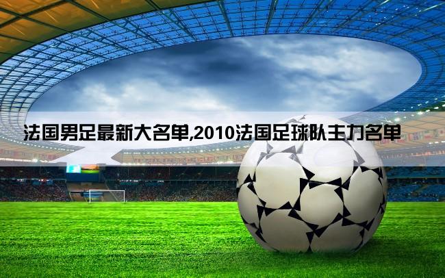 法国男足最新大名单,2010法国足球队主力名单